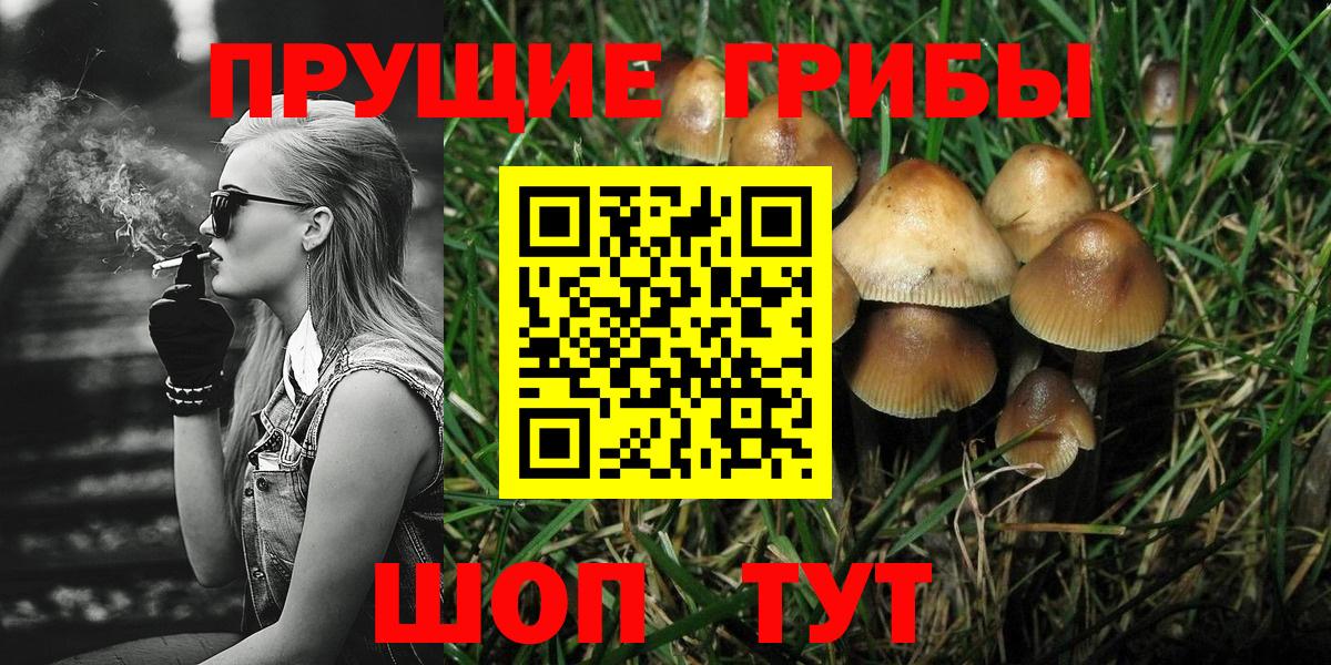 Галлюциногенные грибы Magic Shrooms Воскресенск