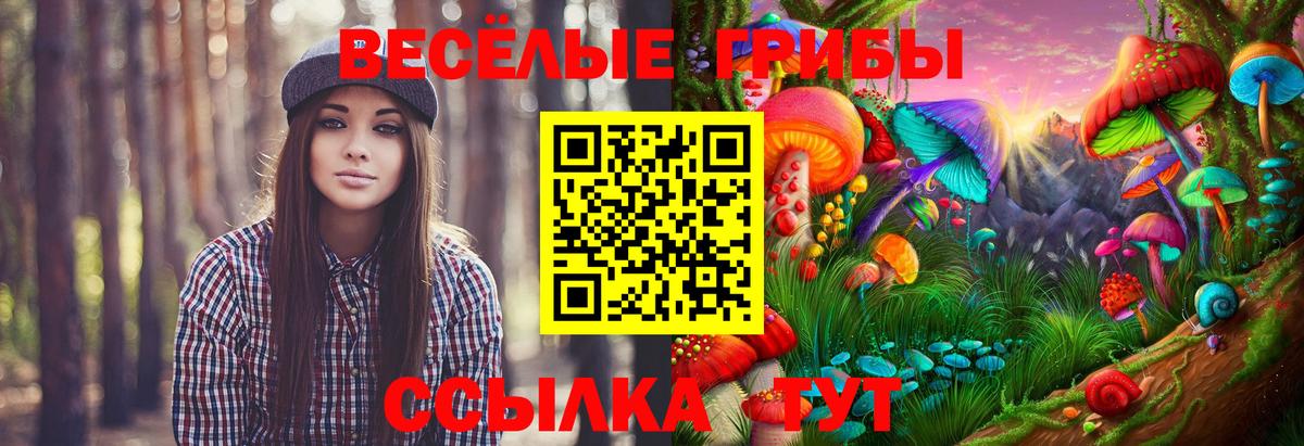 Воскресенск  Галлюциногенные грибы ЛСД  Псилоцибиновые грибы Psilocybe  Вход с VPN 